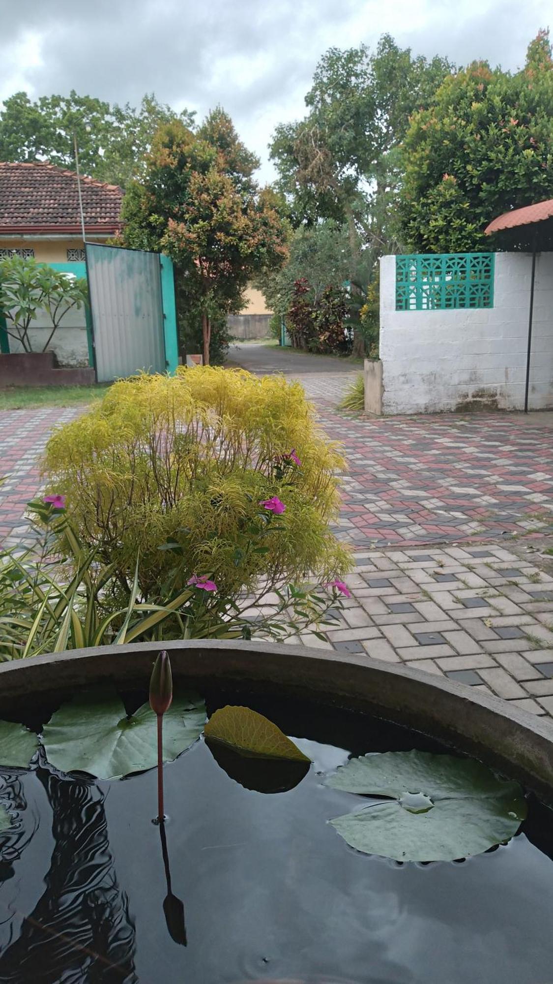 Ch Rooms - Transit Airport Negombo Zewnętrze zdjęcie
